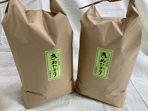 【新米】令和5年産　近江米　キヌヒカリ【10kg（5kg×2袋）】環境こだわり米