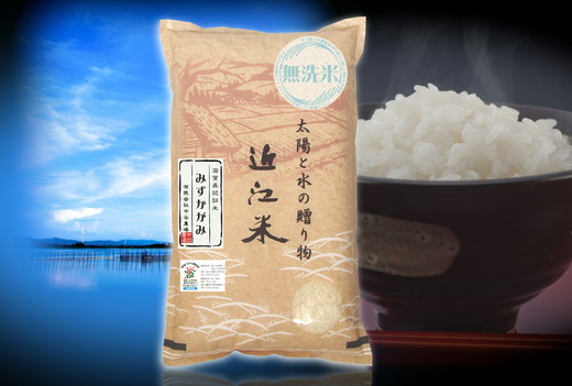 【3年産】近江米 環境こだわり栽培 みずかがみ 無洗米 【10kg×1】