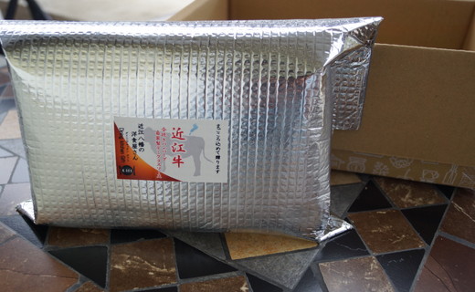 近江牛煮込みハンバーグ　自家製デミグラスソース　【1200g（200ｇ×6個）】