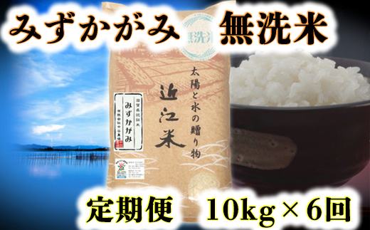 【令和5年産】滋賀県産 環境こだわり栽培米みずかがみ無洗米6回コース定期便【10㎏×6回】