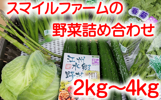 近江農家野菜詰め合わせセット２kg～４kg