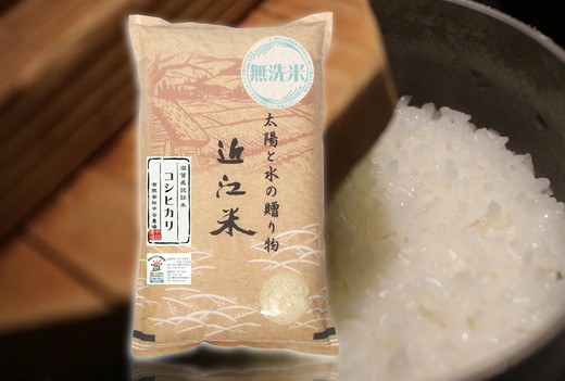 【5年産】近江米 環境こだわり栽培 コシヒカリ 無洗米 【10kg×1】
